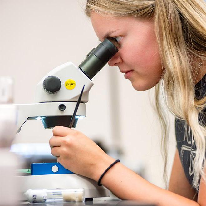 Student looking through a microscope.